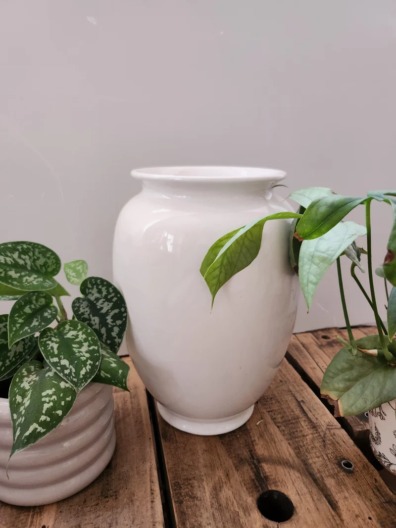 Vase blanc en céramique