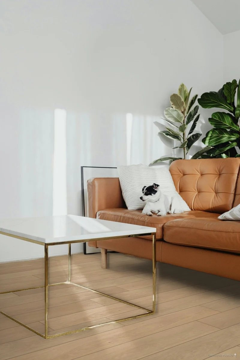 Solbois Concept monolame XL