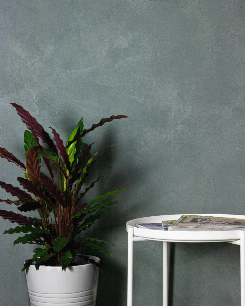 NOVACOLOR - Wall2Floor Top coat fine
