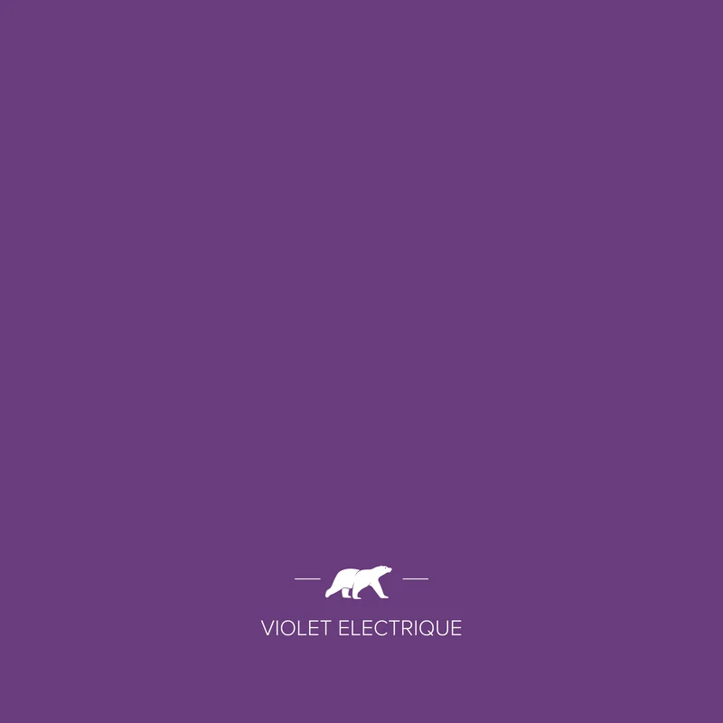 VIOLET ELECTRIQUE