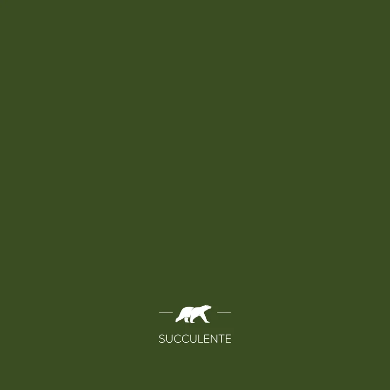 SUCCULENTE