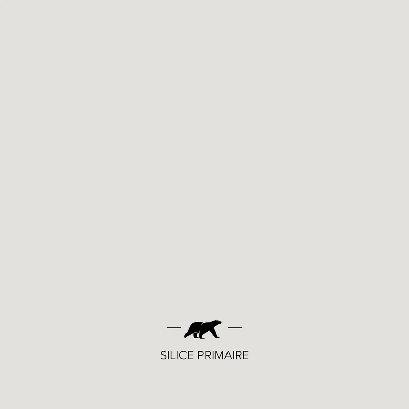 SILICE PRIMAIRE