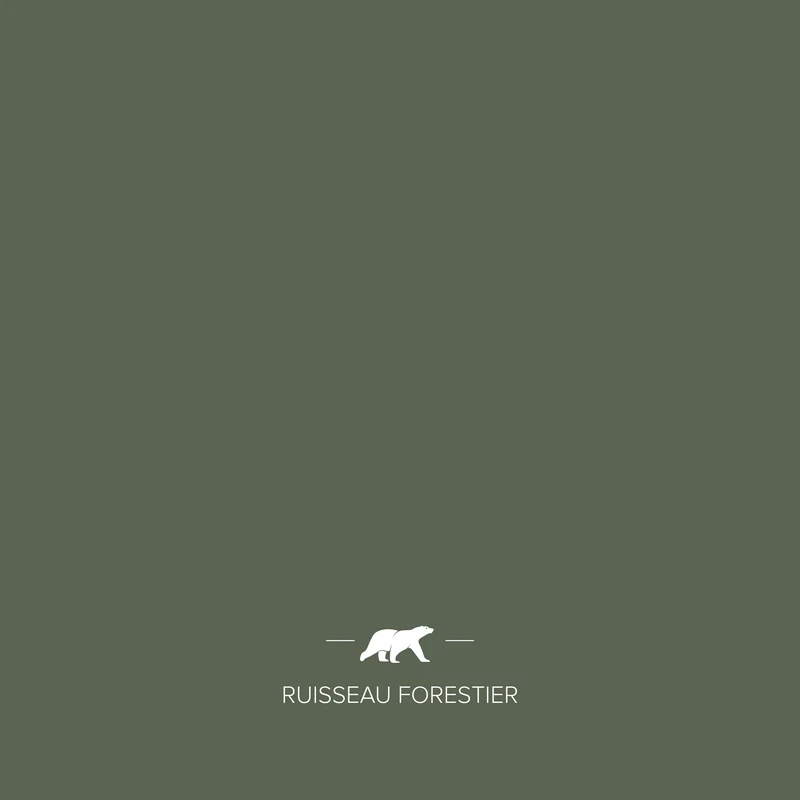 RUISSEAU FORESTIER