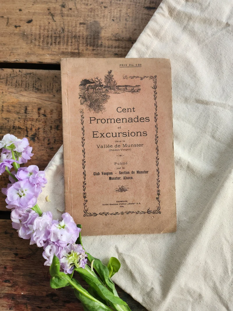 Guide promenade et excursions MUNSTER
