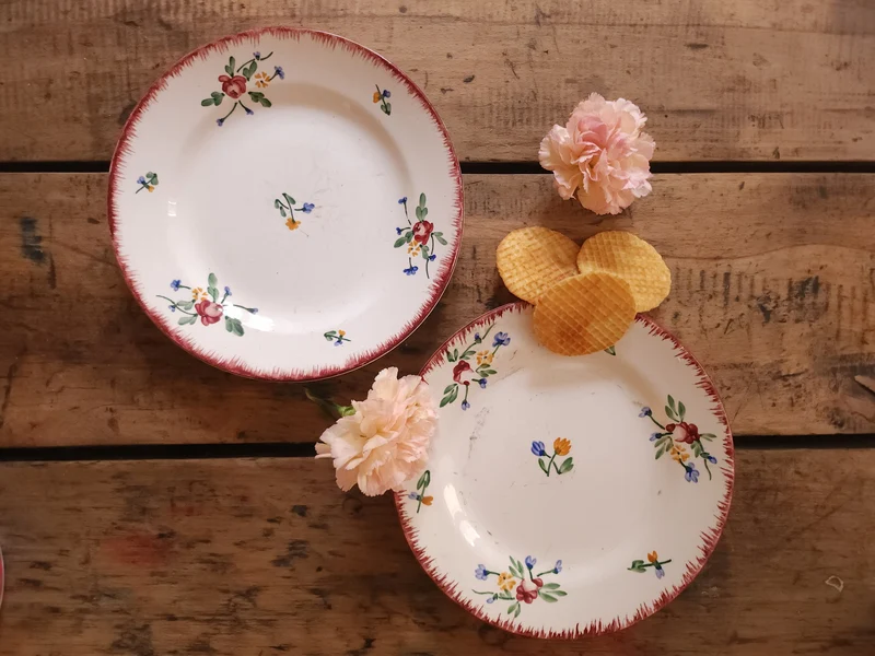 Assiettes plates en céramique Didier Sarreguemines lot de 2