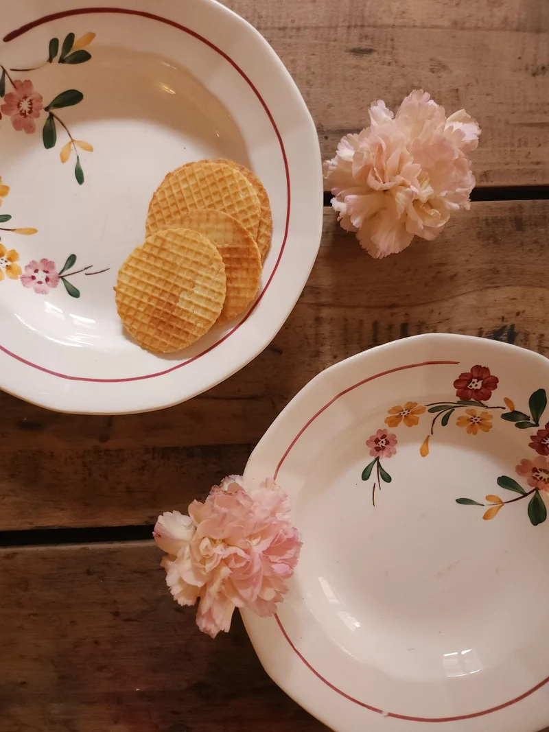 Assiettes creuses modèle Bitche Sarreguemines lot de deux