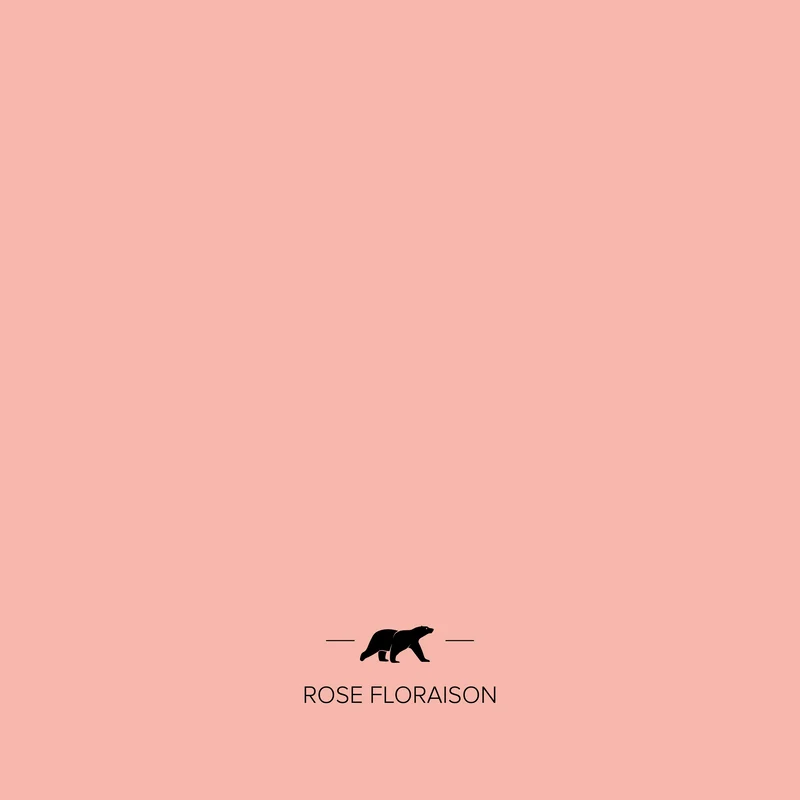 ROSE FLORAISON