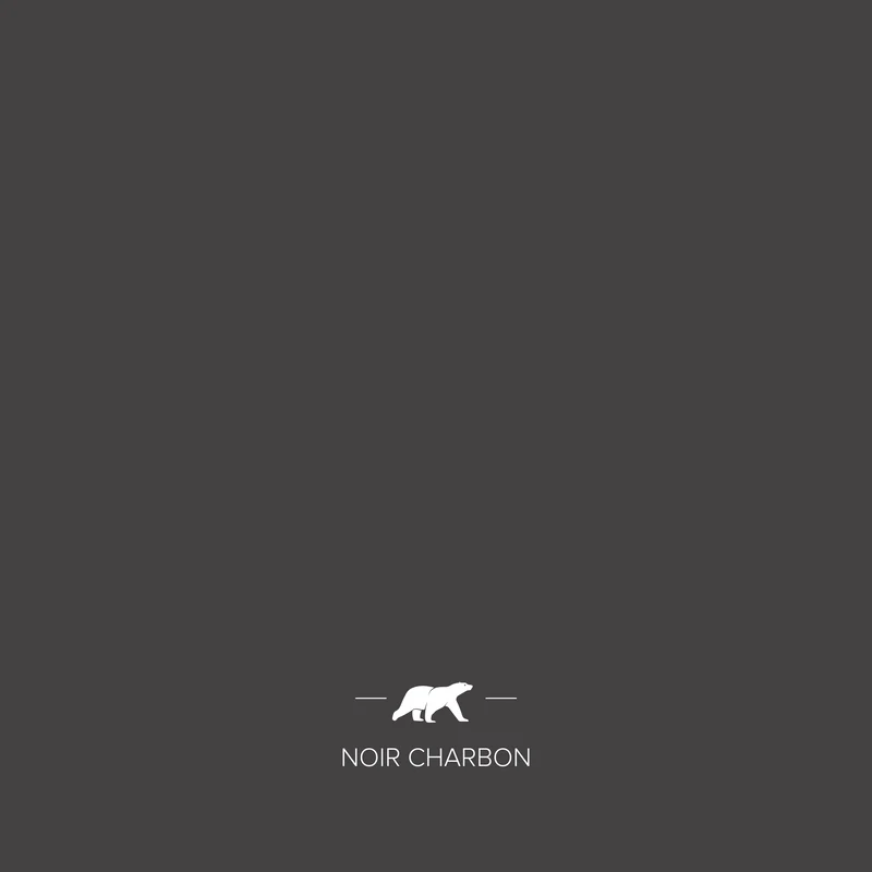 NOIR CHARBON