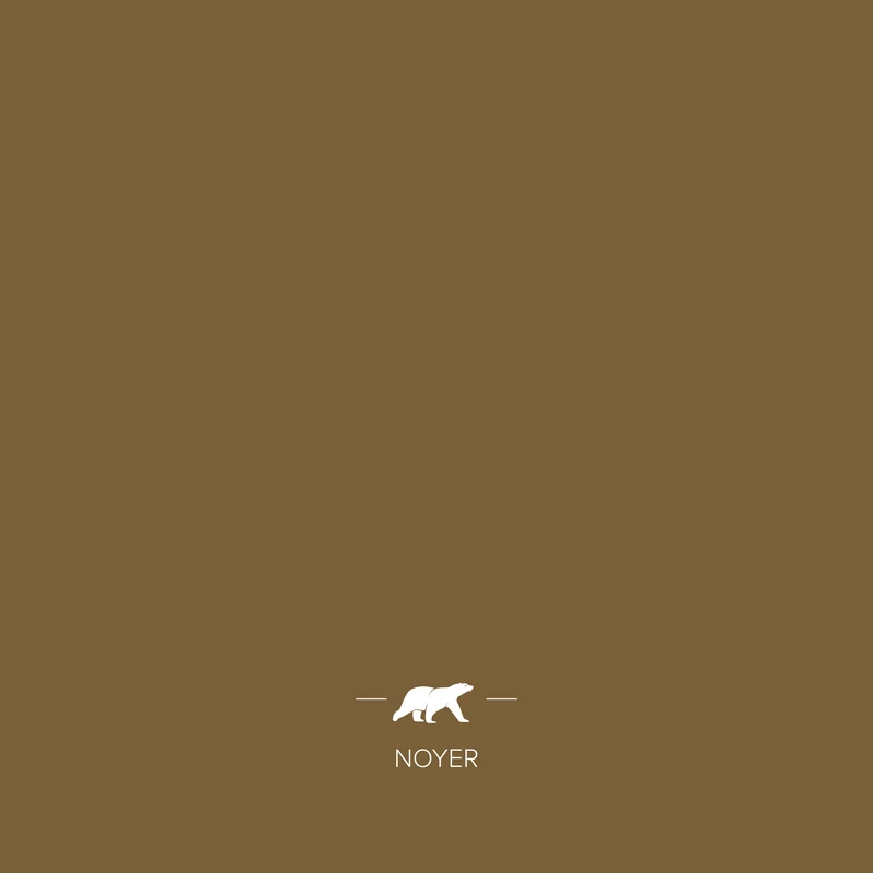NOYER