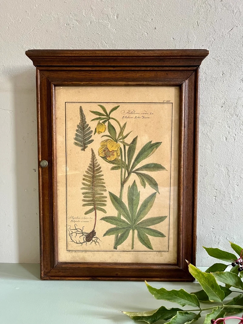 Boîte à clés ancienne avec lithographie