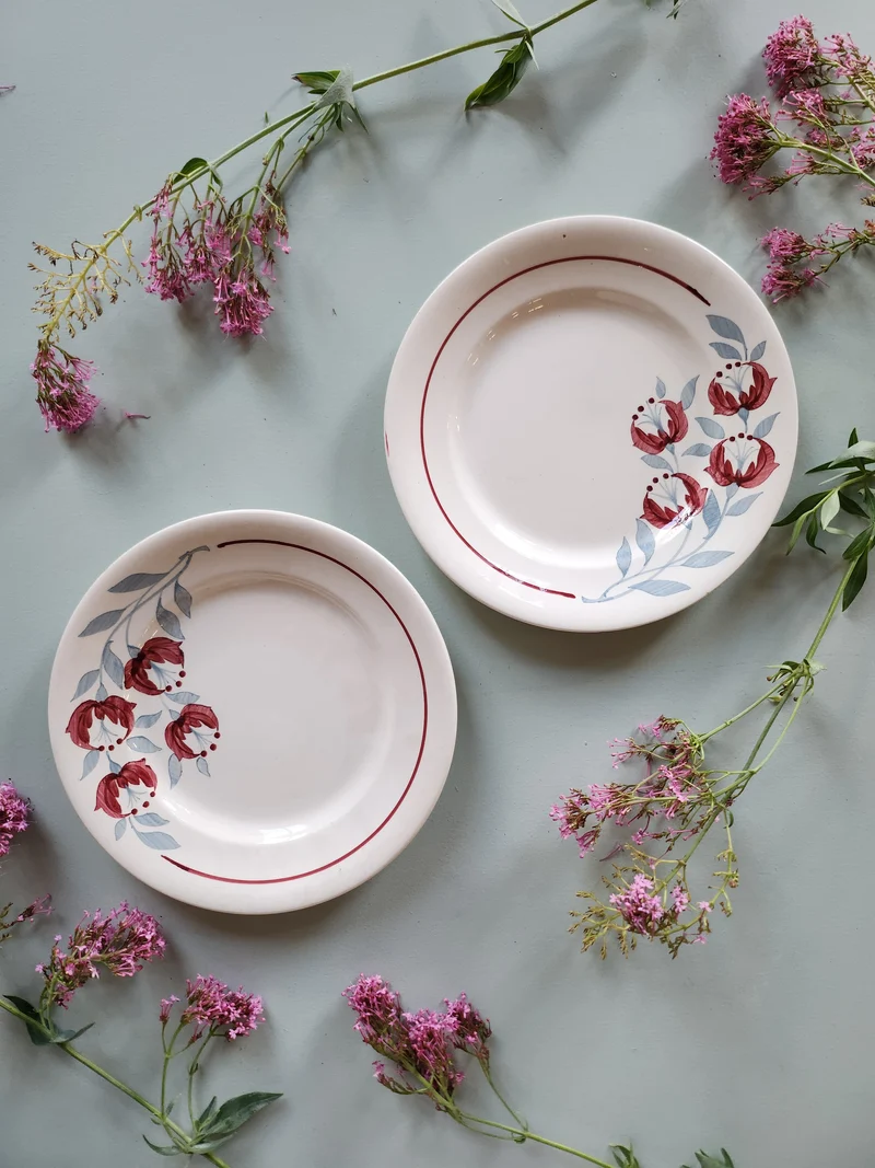 Assiettes à dessert fleuries Longwy modèle Riant-lot de 2
