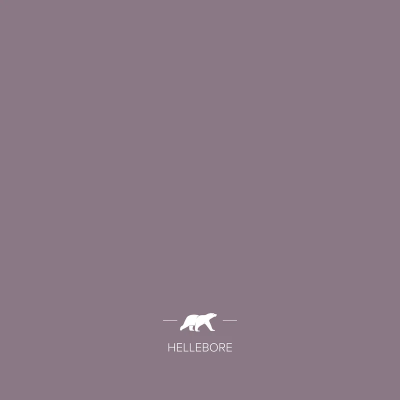 HELLEBORE