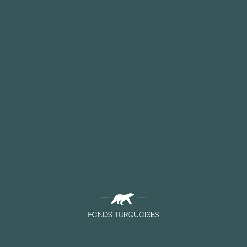 FONDS TURQUOISES