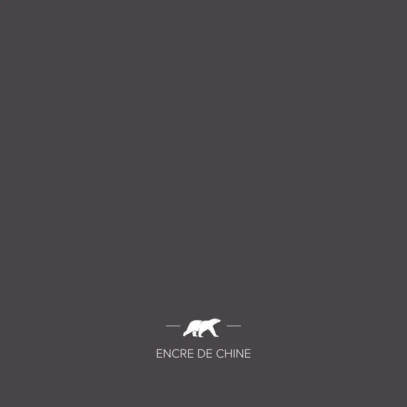 ENCRE DE CHINE