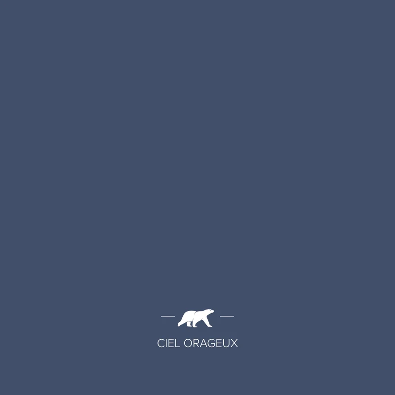 CIEL ORAGEUX