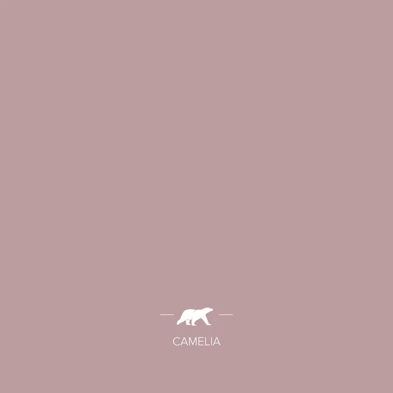 CAMELIA