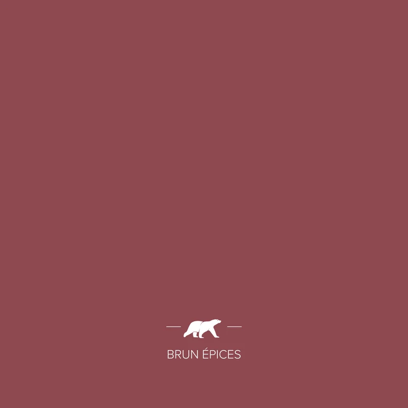 BRUN ÉPICES