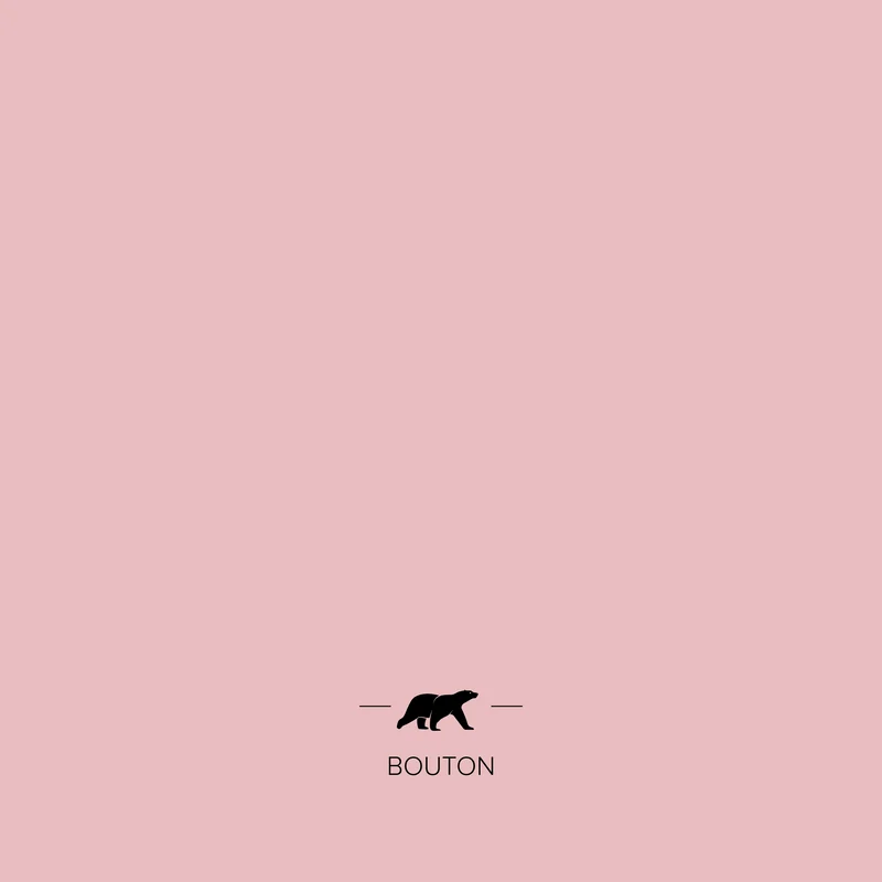 BOUTON