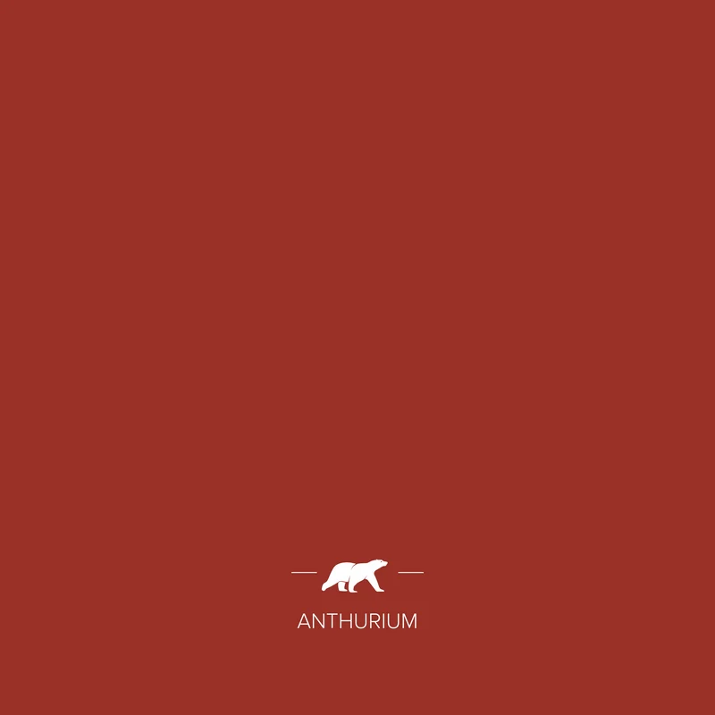 ANTHURIUM
