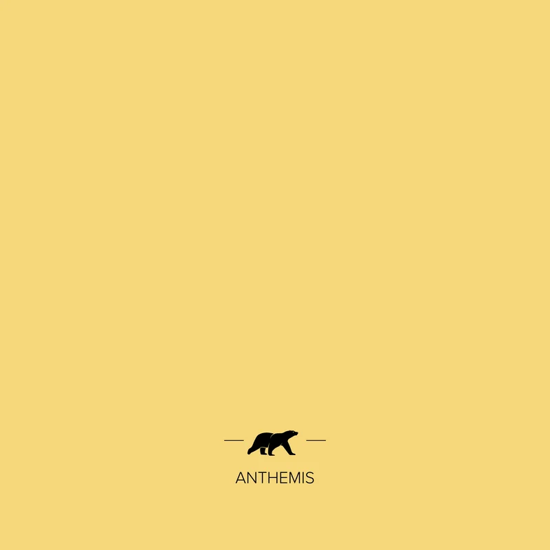 ANTHEMIS