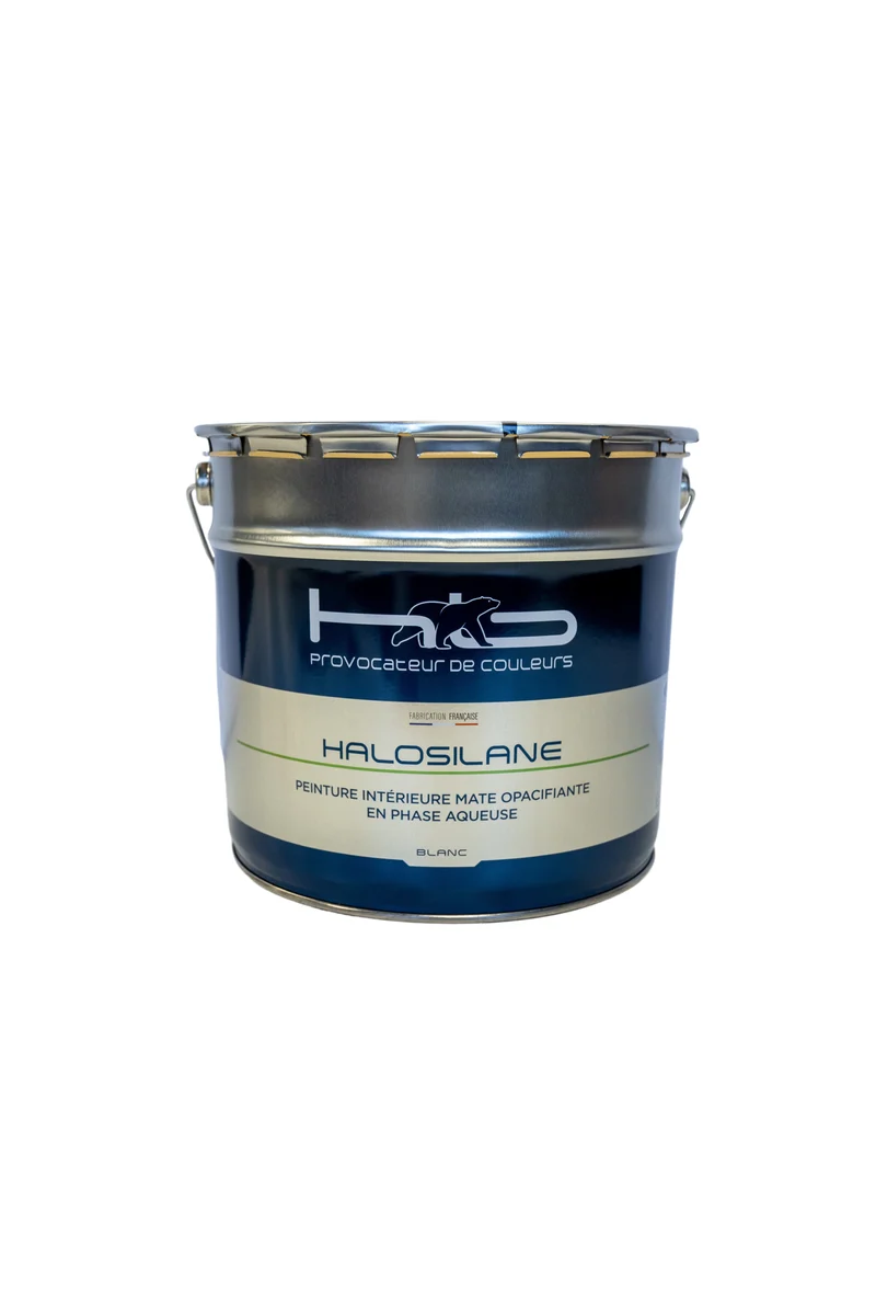HALOSILANE Peinture de finition mat profond murs et plafonds