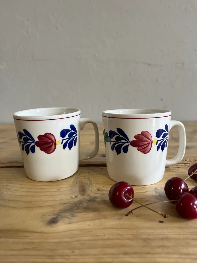 Lot de 2 tasses Boch anciennes
