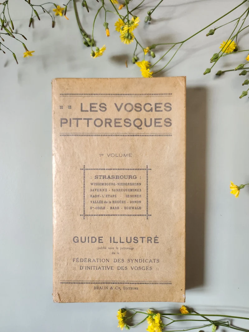 Guide "les vosges pittoresques"