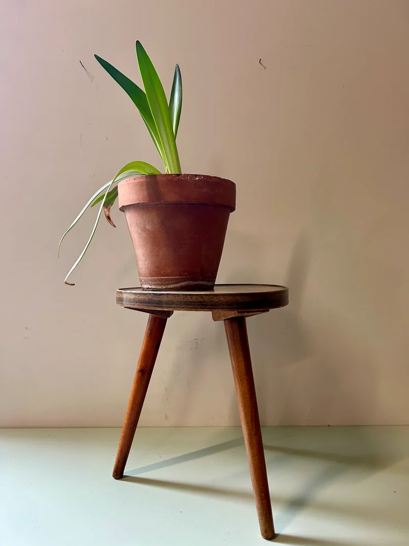 Tripode - porte plante