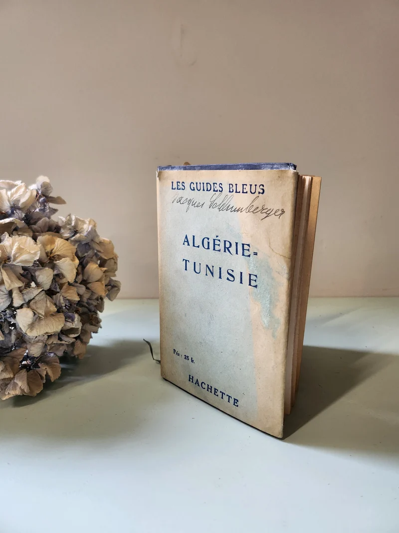 Livre les guides bleus Algerie et Tunisie