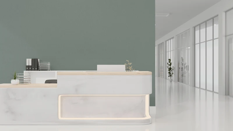 Toile de décoration 100% intissé saine pour l'habitation Vliesfaser 712 PRO