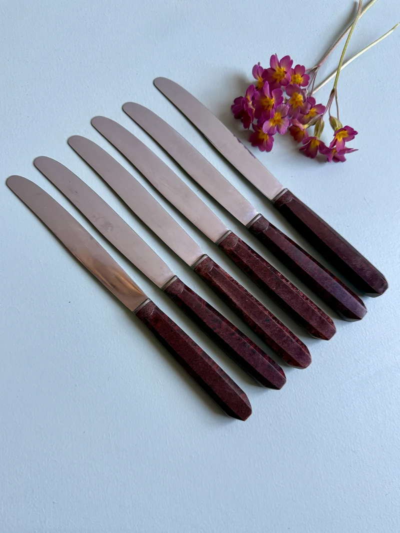Couteaux inoxydables - lot de 6