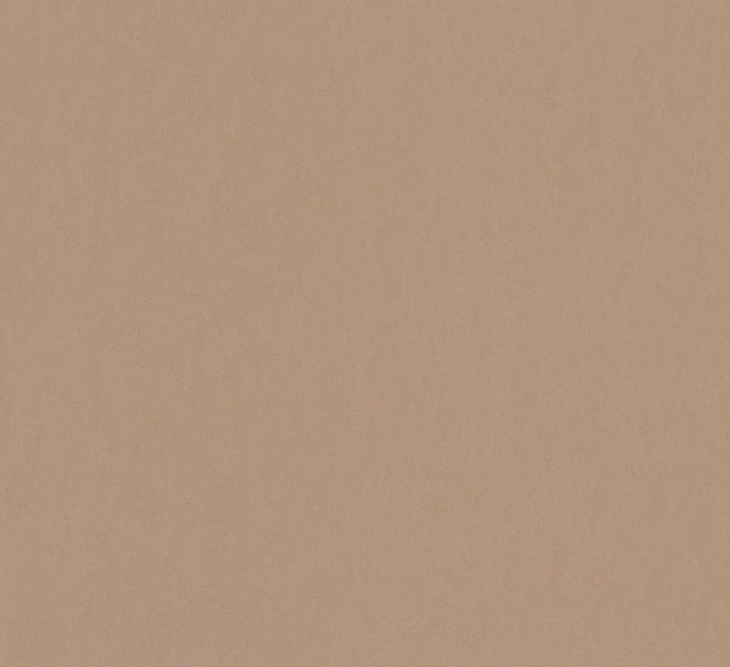 Papier peint texturé marron clair (Collection Empreinte)