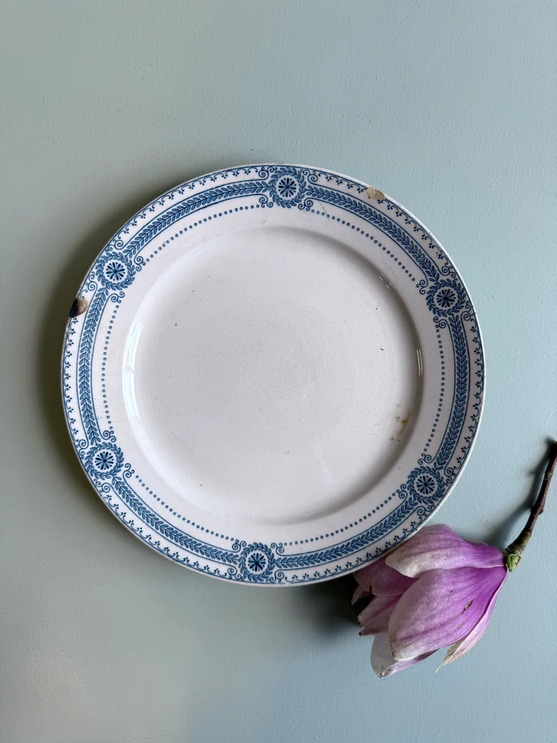 Assiette plate modèle Carina de Sarreguemines