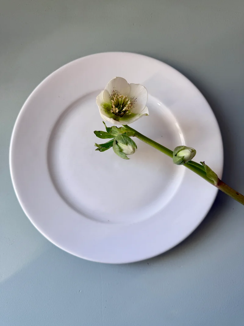 Assiette plate en porcelaine de Limoges