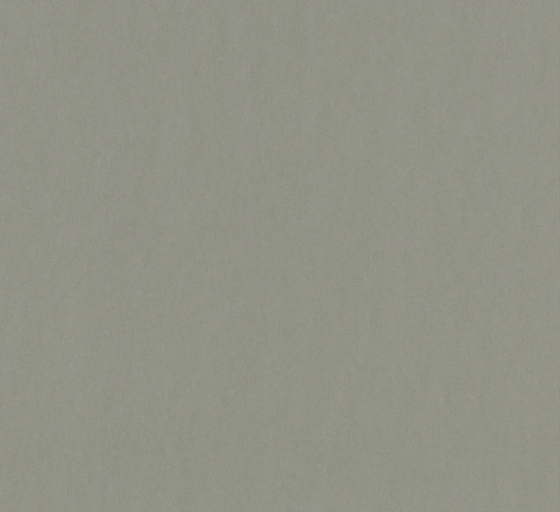 Papier peint effet béton (Collection Empreinte)