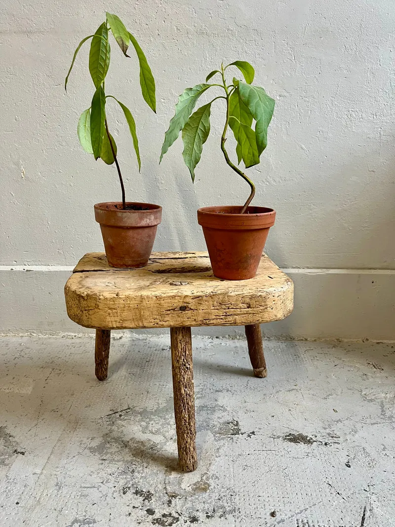 Tabouret de ferme ancien en bois