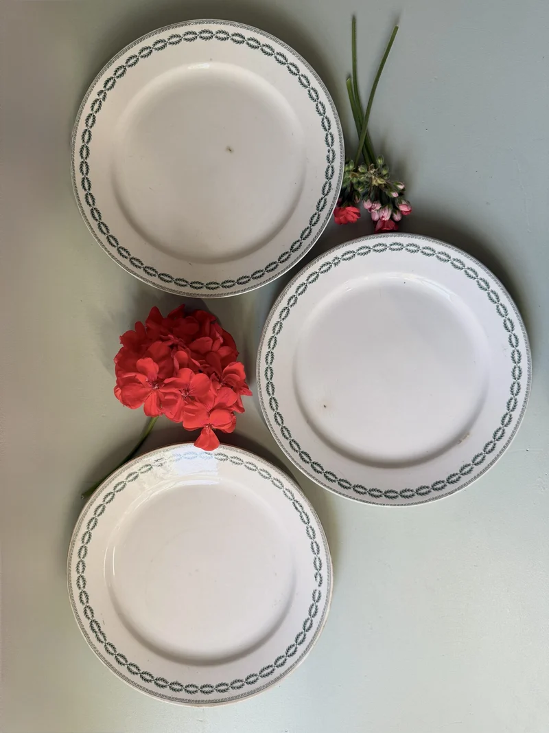 Assiettes plates Sarreguemines modèle Nobilis - lot de 3