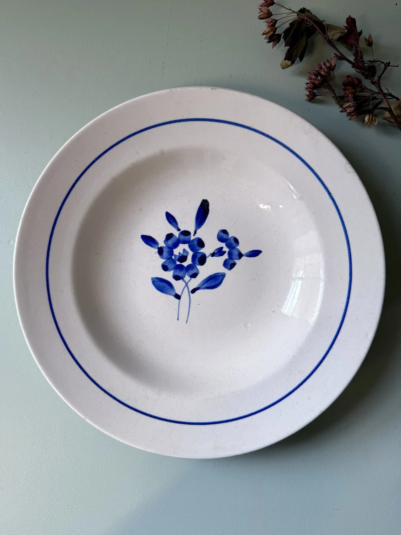 Assiette creuse Claire de Sarreguemines