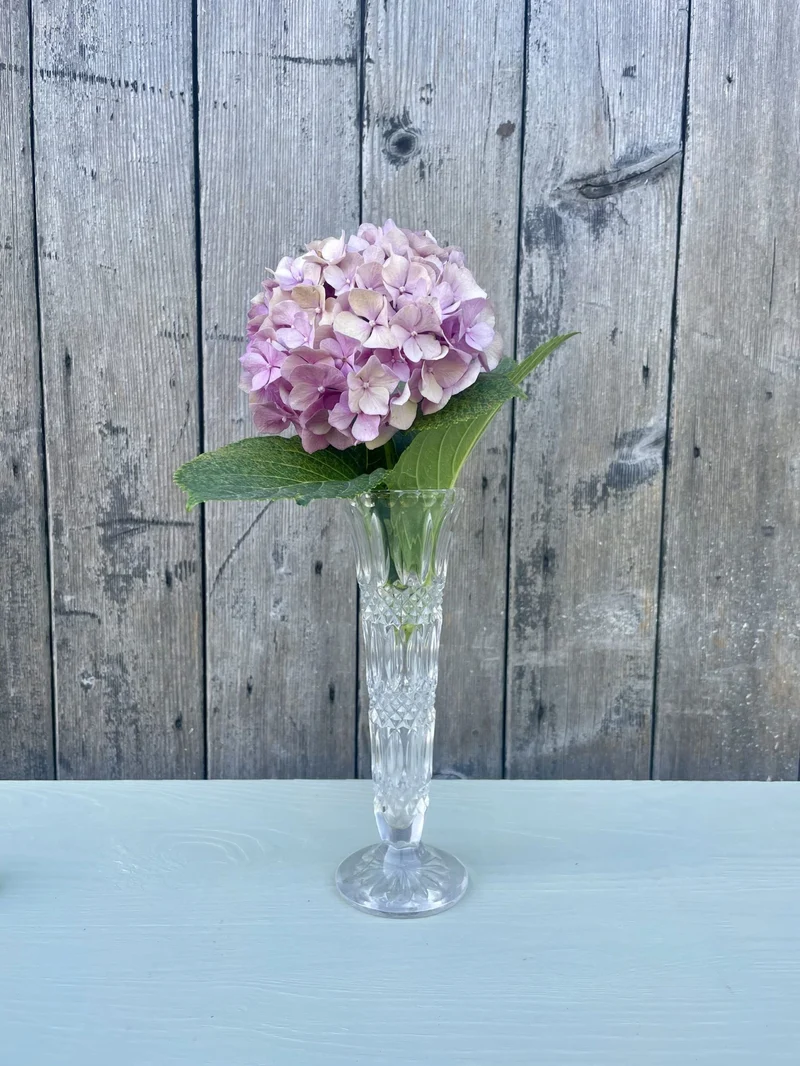 Vase 2