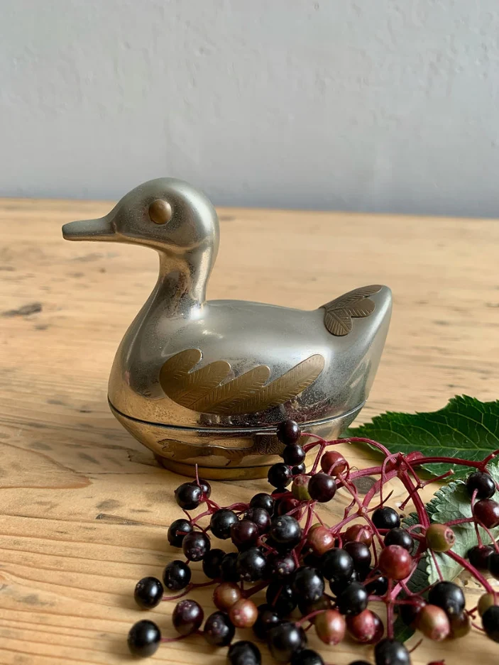 Boîte canard