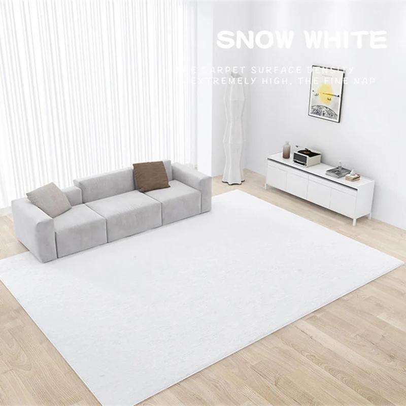 Grand tapis de salon