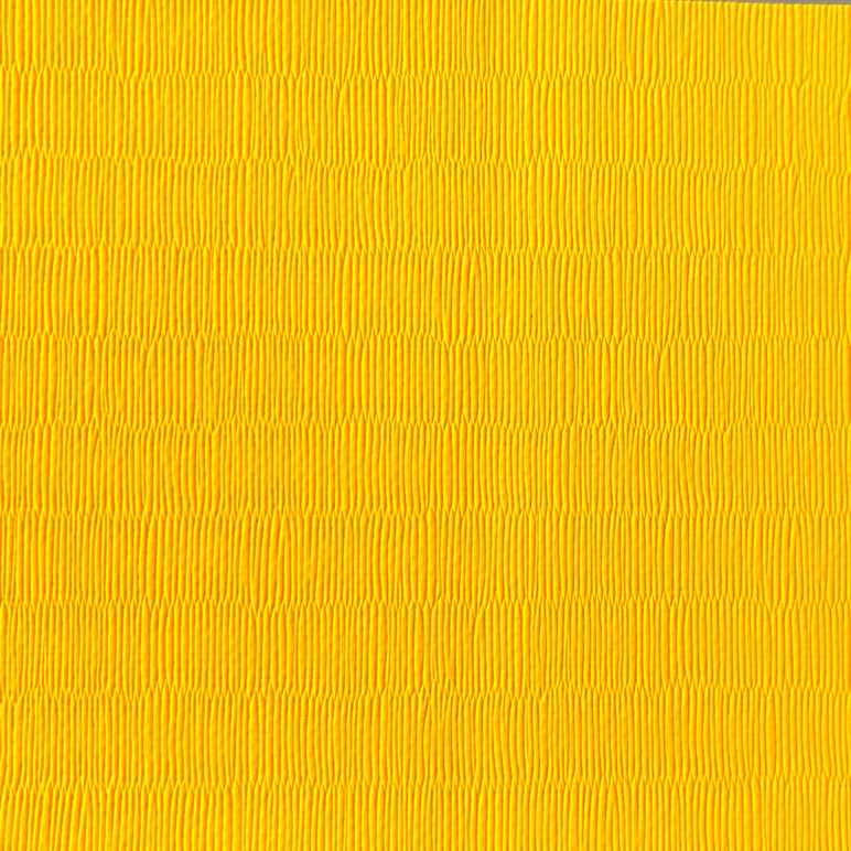 TATAMIS VINYLES DESSOUS NUS 200 x 100cm