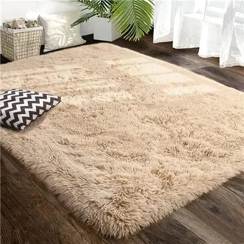 Tapis beige salon