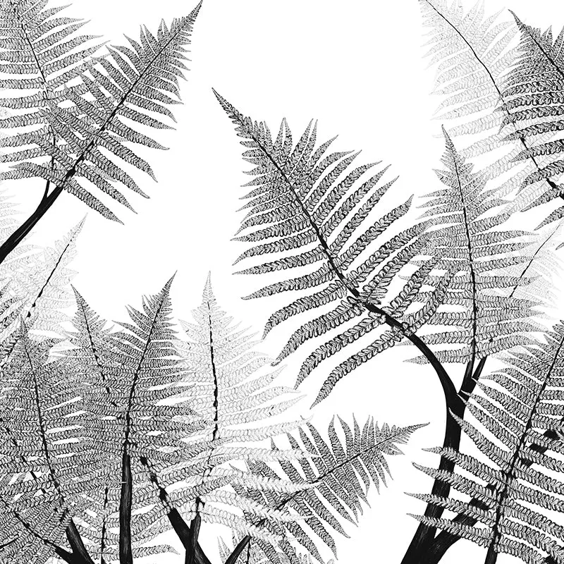 Echantillon papier peint Luxuriance