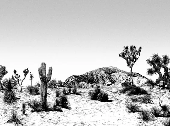 Echantillon papier peint Arizona