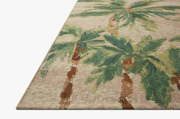 BT-101 : Tapis intérieur / extérieur